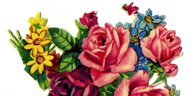 Ein Glanzbild von Rosen und anderen Blumen
